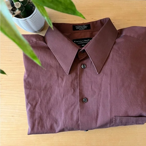 🎉HOST PICK 3/19!🎉 Crazy Horse Wrinkle Free Long Sleeve Dress Shirt - Picture 3 of 7